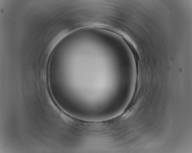 X0000073921007200608181044