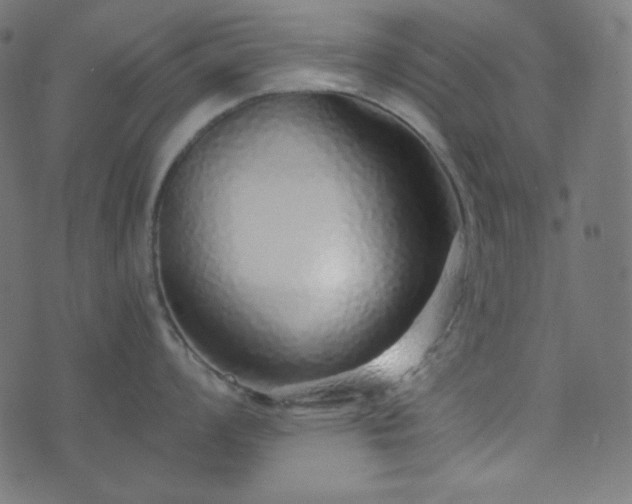 X0000073921008200608181044