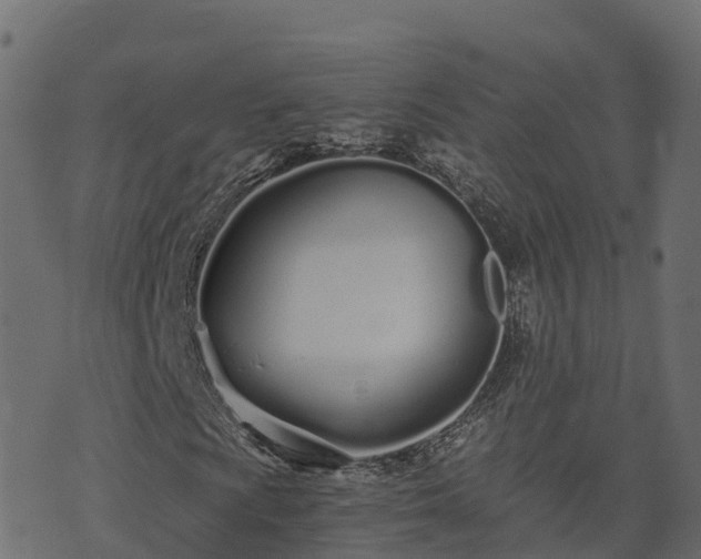 X0000073921009200608181043