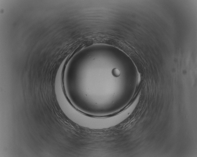 X0000073921010200608181043