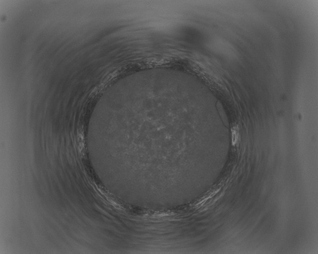 X0000073921011200608181043