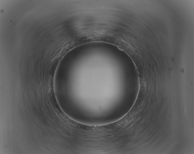 X0000073921012200608181044