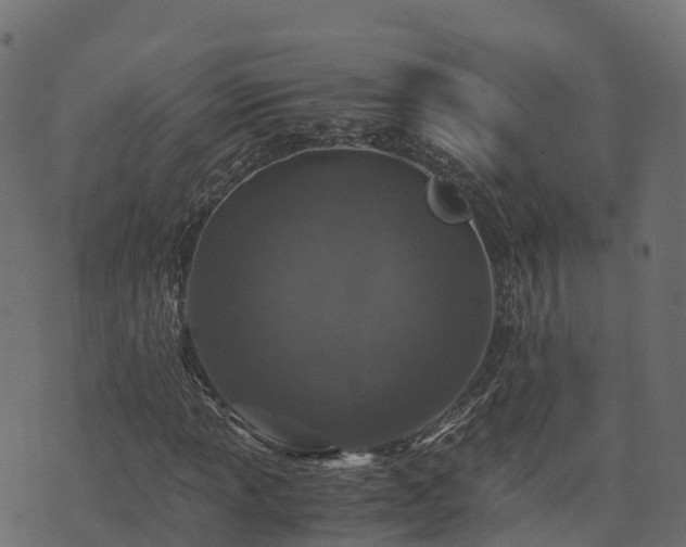 X0000073921013200608181044