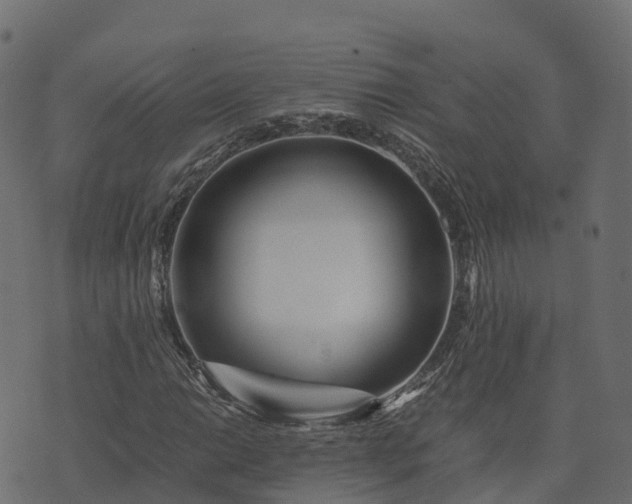 X0000073921014200608181044