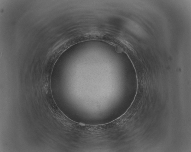 X0000073921015200608181044