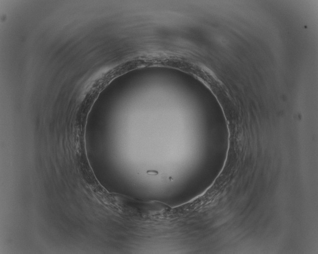 X0000073921016200608181044