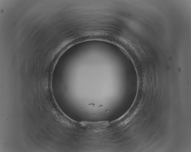 X0000073921017200608181044