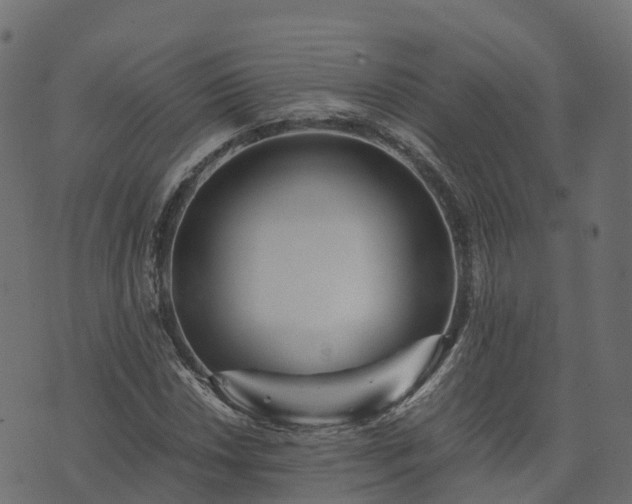 X0000073921018200608181044