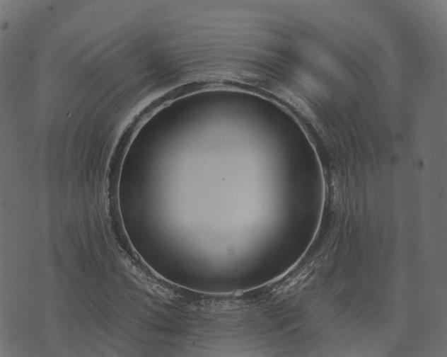 X0000073921020200608181044