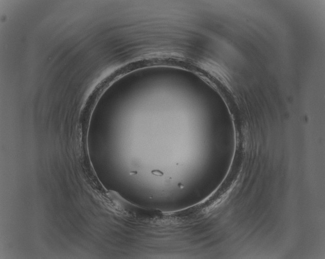 X0000073921021200608181044