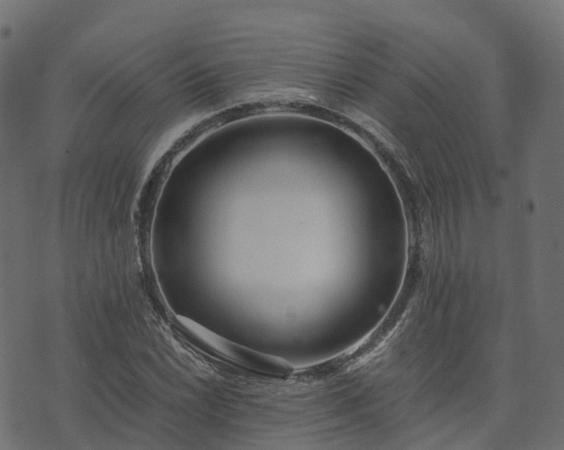 X0000073921022200608181044