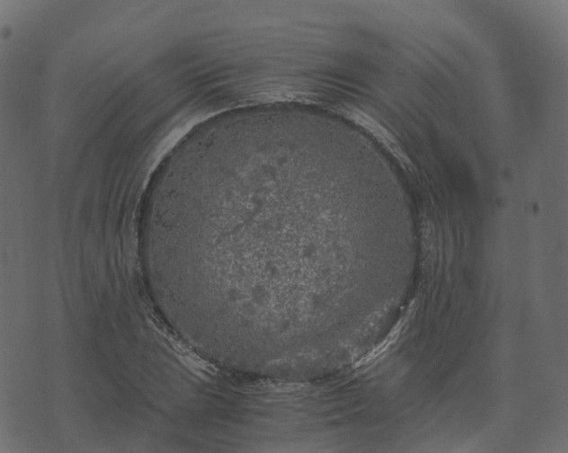 X0000073921023200608181044