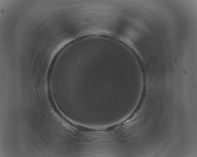 X0000073921024200608181044