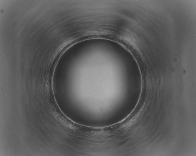 X0000073921025200608181044