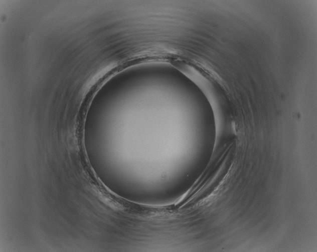 X0000073921026200608181044