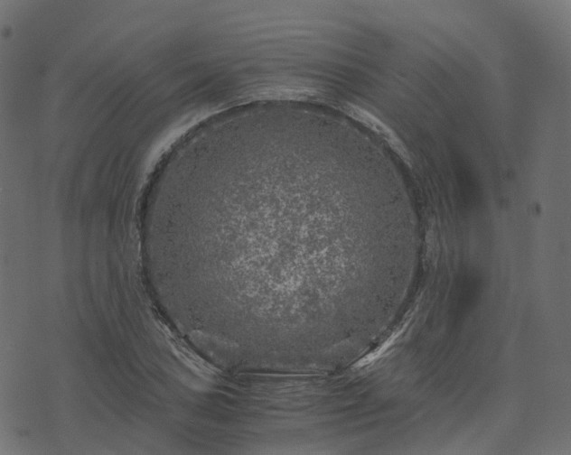 X0000073921027200608181044