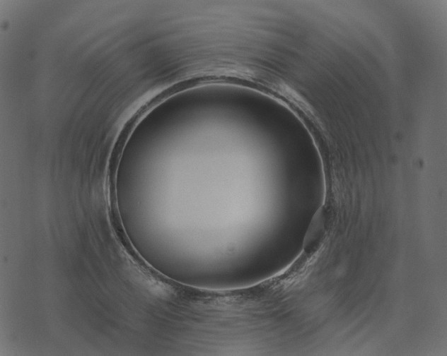 X0000073921028200608181044