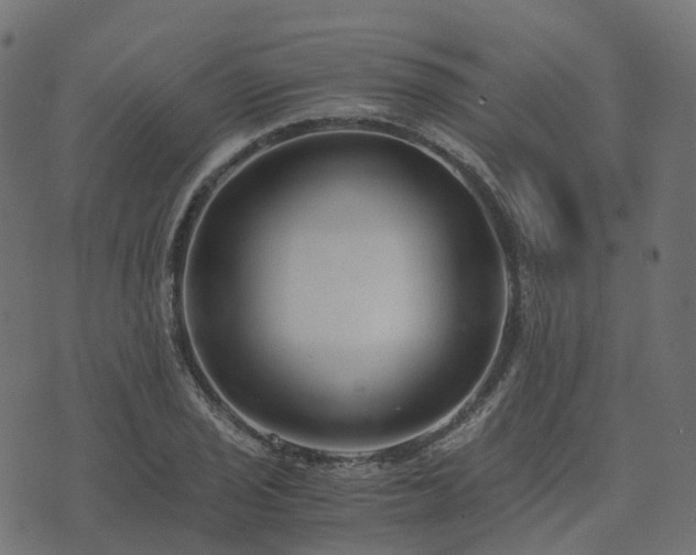 X0000073921029200608181044