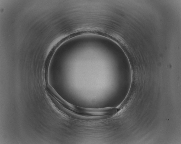 X0000073921030200608181044