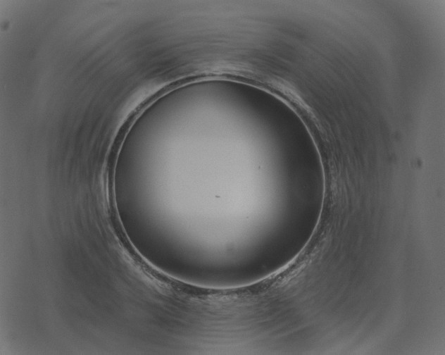 X0000073921032200608181044