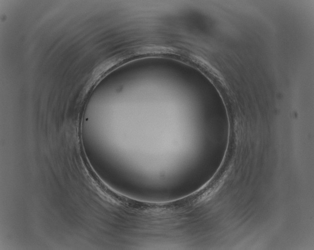 X0000073921033200608181044