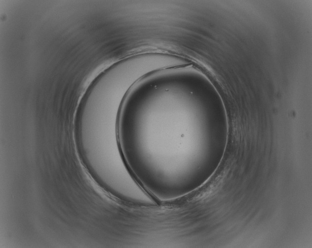 X0000073921034200608181044