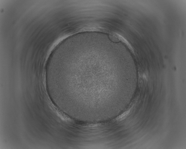 X0000073921035200608181044