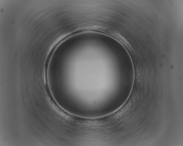 X0000073921036200608181044