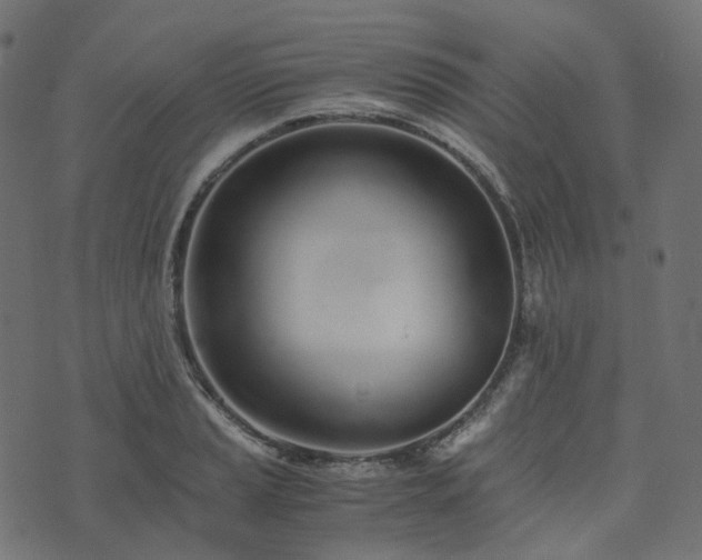 X0000073921037200608181044