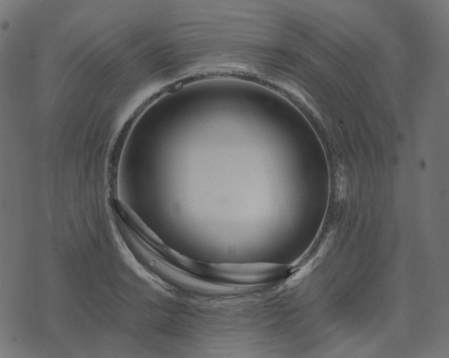 X0000073921038200608181044