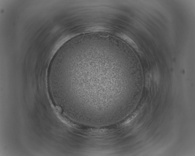 X0000073921039200608181044