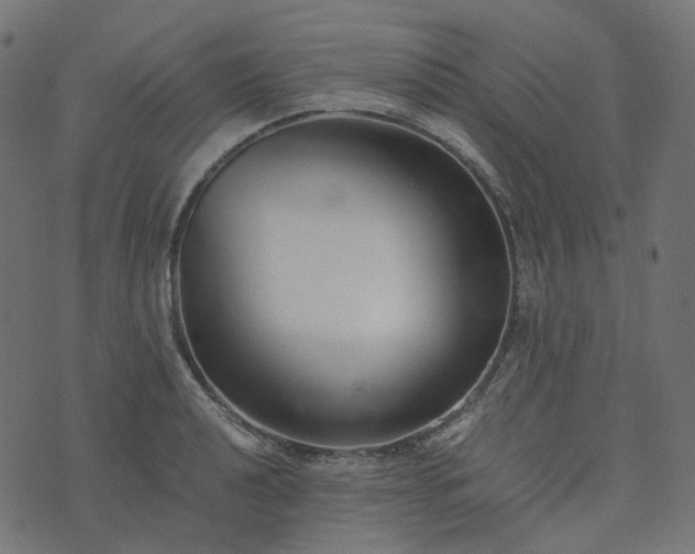 X0000073921040200608181044