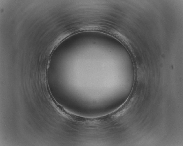 X0000073921041200608181044