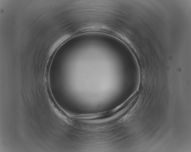 X0000073921042200608181044