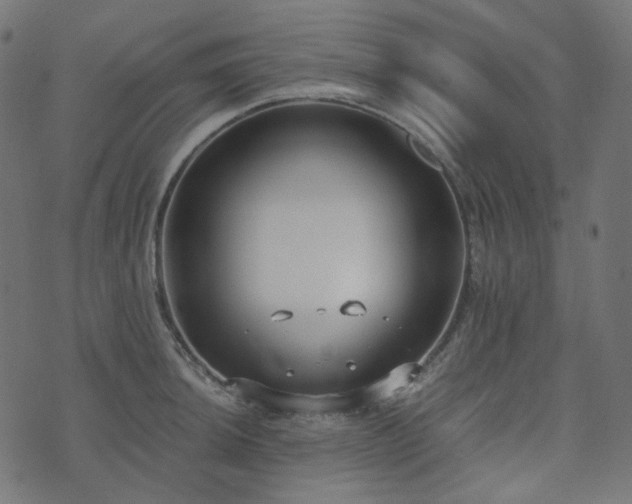 X0000073921044200608181044