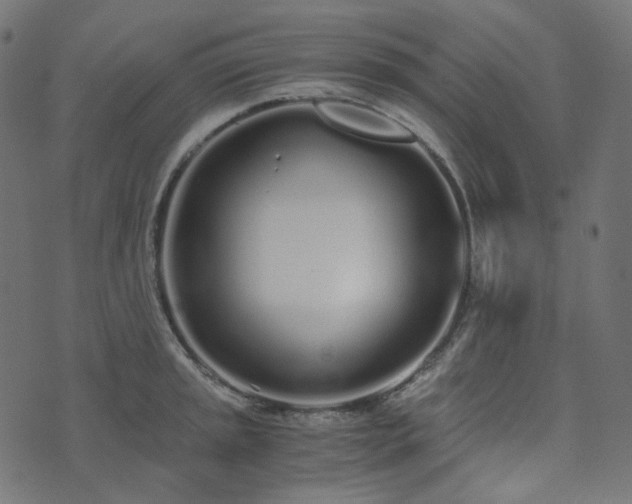 X0000073921045200608181044