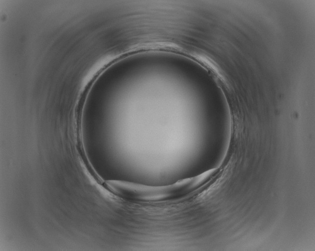 X0000073921046200608181044