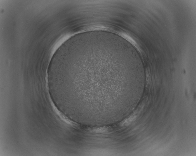 X0000073921047200608181044