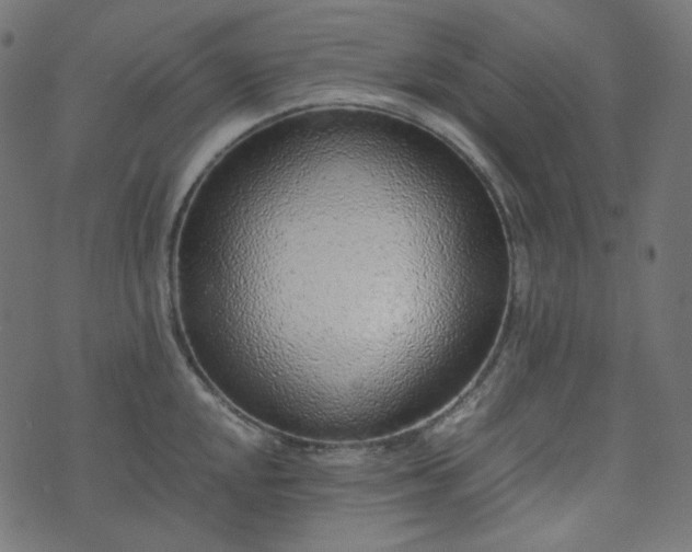 X0000073921048200608181044