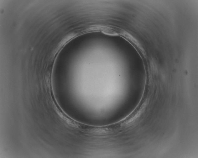 X0000073921049200608181044