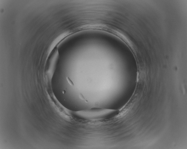 X0000073921050200608181044