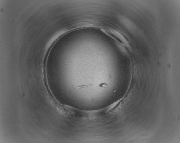 X0000073921051200608181044