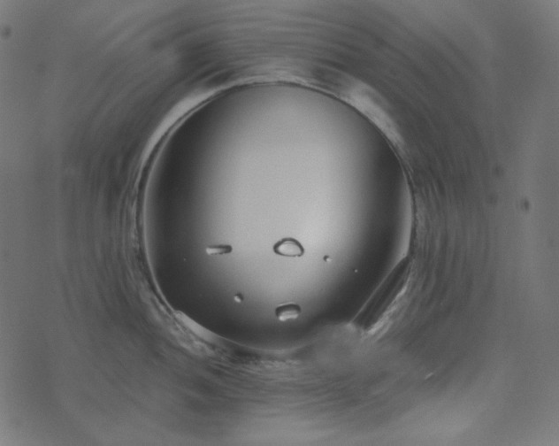 X0000073921052200608181044