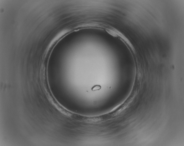 X0000073921053200608181044