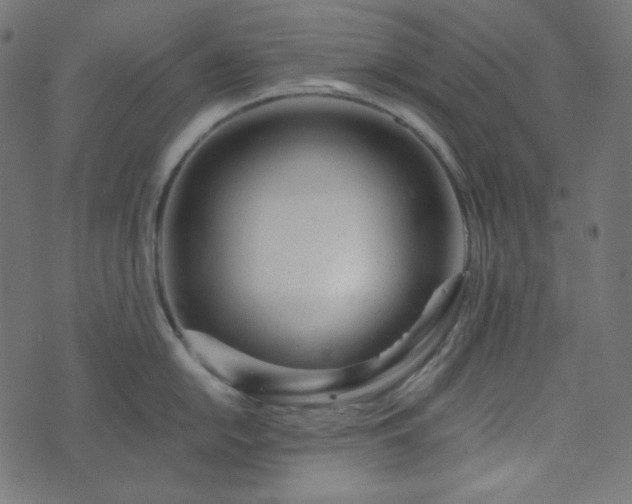 X0000073921054200608181044