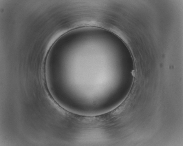 X0000073921056200608181044