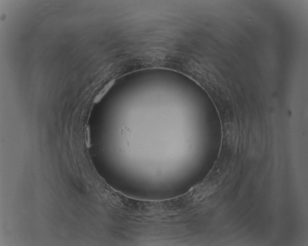 X0000073921057200608181043