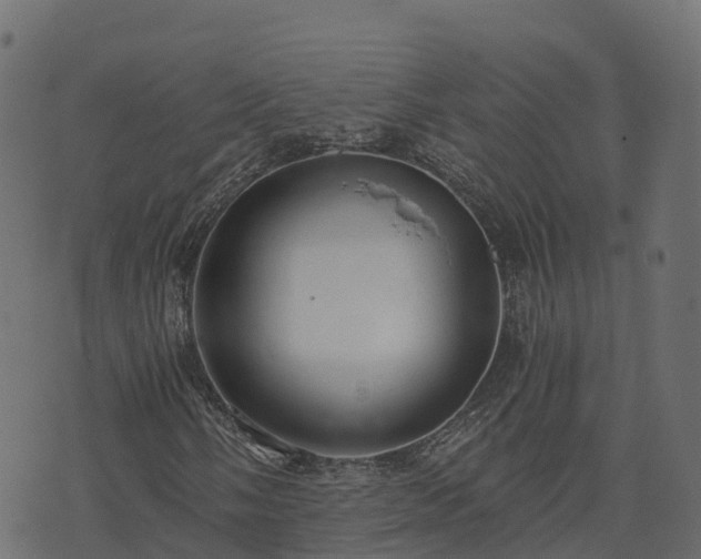 X0000073921058200608181043