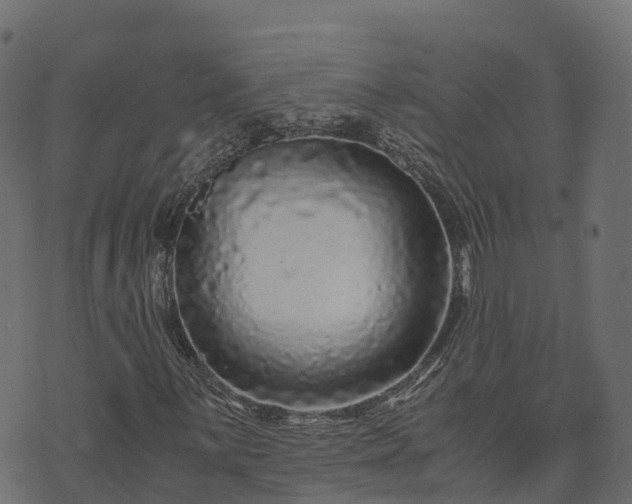 X0000073921059200608181043