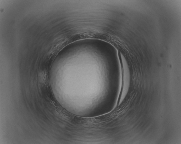 X0000073921060200608181043